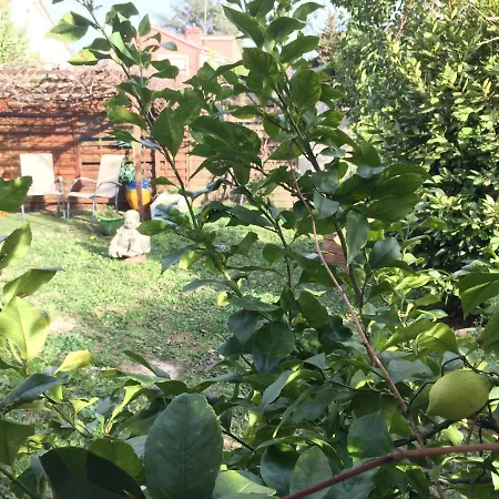 Cap Sol Hotel Mandelieu